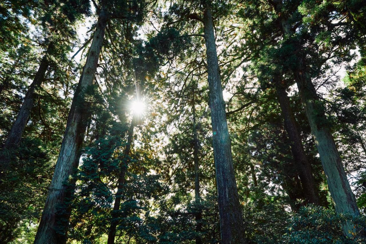 Villa Hakone Kabuto 古民家旅館 150平米 バス停迄一分 準天然温泉 最大12名 ภายนอก รูปภาพ