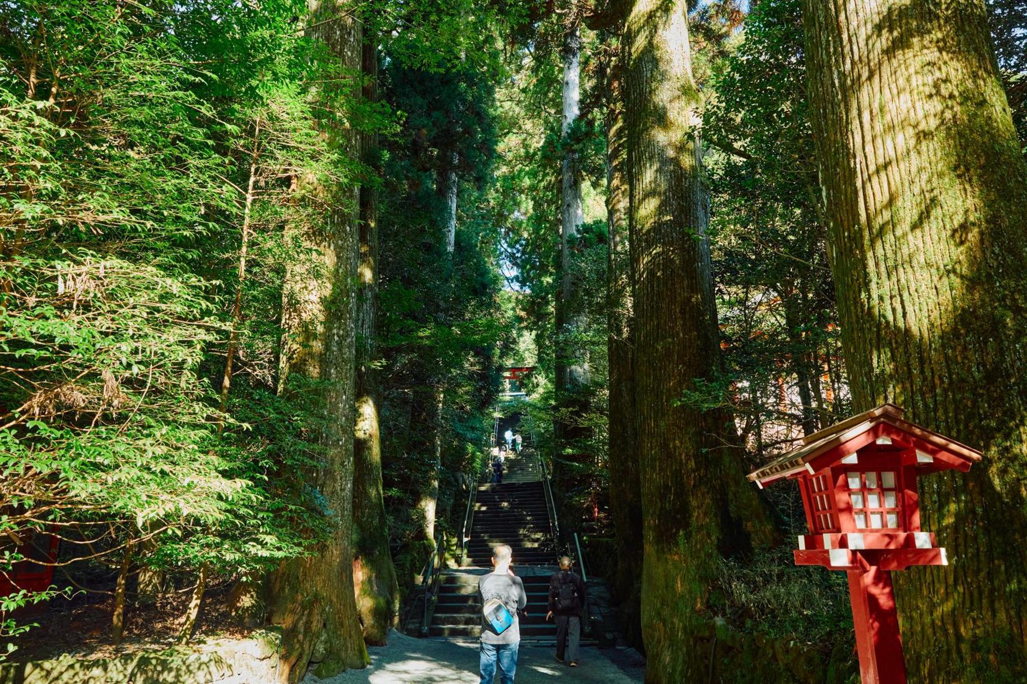 Villa Hakone Kabuto 古民家旅館 150平米 バス停迄一分 準天然温泉 最大12名 ภายนอก รูปภาพ